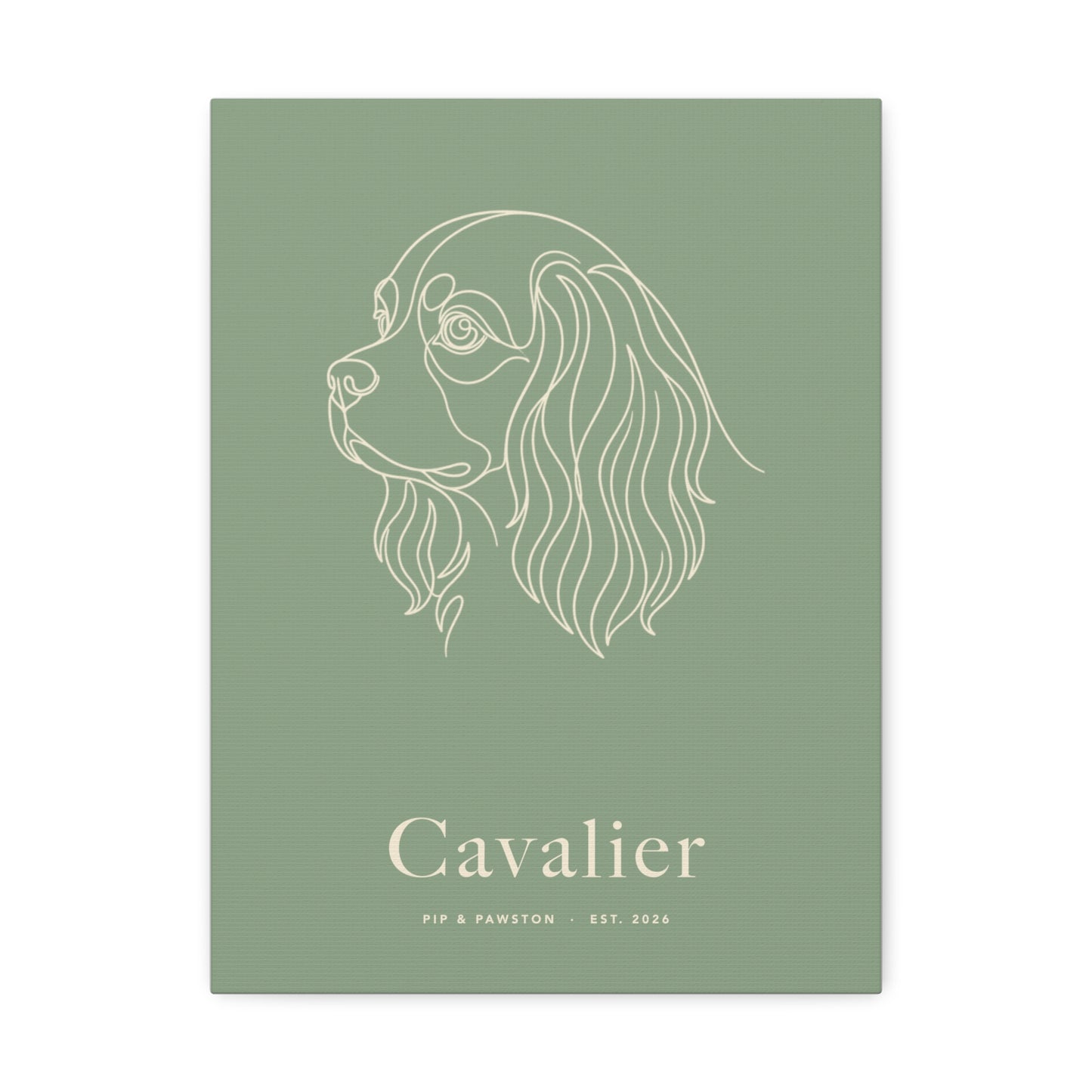 Cavalier Line-Art Canvas with Wordmark - Sage