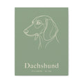 Dachshund Line-Art Canvas with Wordmark - Sage