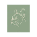 Frenchie Line-Art Poster - Sage