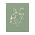 Frenchie Line-Art Canvas - Sage