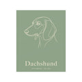 Dachshund Line-Art Poster with Wordmark - Sage