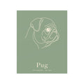 Pug Line-Art Poster with Wordmark - Sage