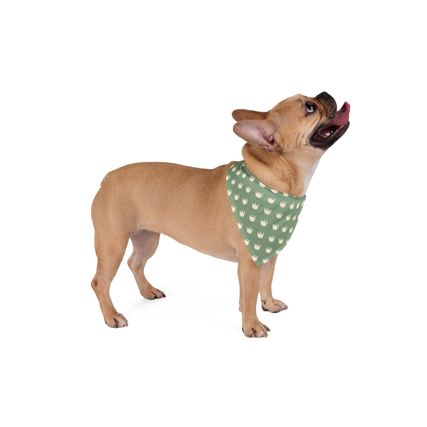 Pet Bandana - Pip & Pawston Pattern