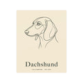 Dachshund Line-Art Poster with Wordmark - Warm Cream