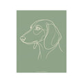 Dachshund Line-Art Poster - Sage