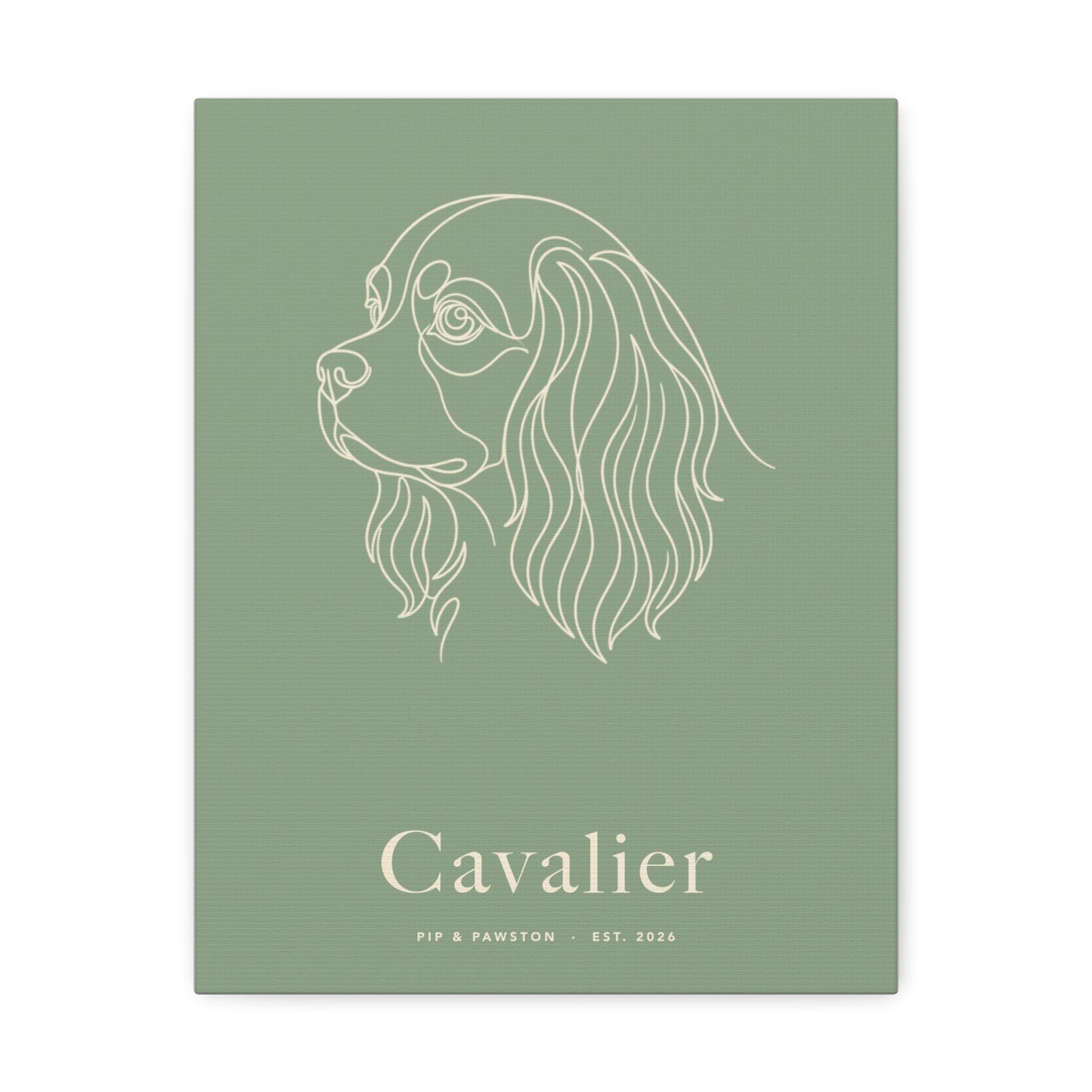 Cavalier Line-Art Canvas with Wordmark - Sage